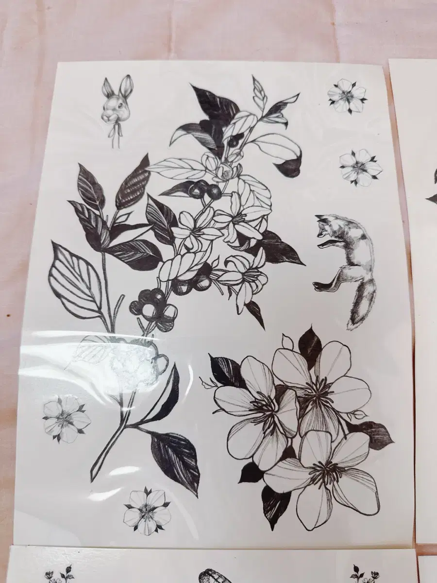 thumbnail-1